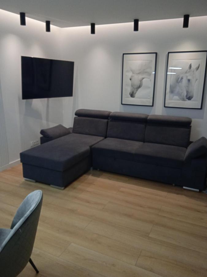 Appartement Apartament Olsztynska à Radom Extérieur photo